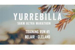 Yurrebilla 56K Ultra 2025 Training Run #1 