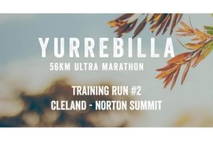 Yurrebilla 56K Ultra 2025 Training Run #2