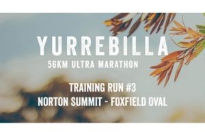 Yurrebilla 56K Ultra 2025 Training Run #3